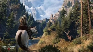 The Witcher 3 Wild Hunt Прохождение Ценный груз #3
