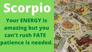 Scorpio timeless horoscope: Your ENERGY is amazing but you can't rush FATE patience is needed.