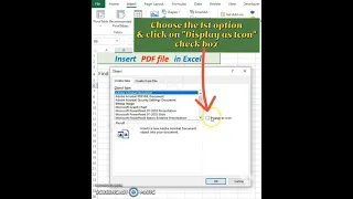 Insert PDF file in Excel sheet