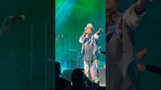 Boy George & Culture Club - All I Know Let Things Go #shorts #concerts