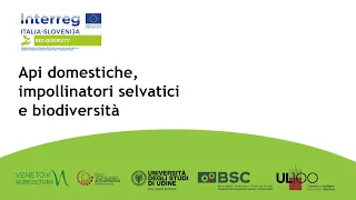 Api domestiche, impollinatori selvatici e biodiversità