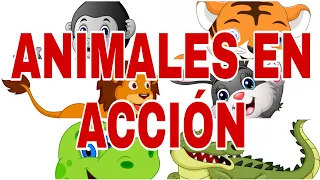 ★Educación Física Preescolar En Casa★Imitar Animales★Motricidad Gruesa★Niños de 2 a 6 años★