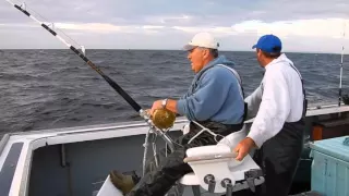 Blue Fin Tuna fishing, Antigonish, Nova Scotia