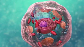 Огляд структури клітини