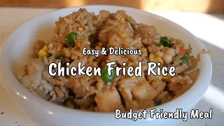 Easy & Delicious Chicken Fried Rice |  Budget Friendly Meal