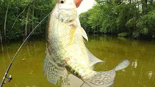 "Crappie fishing after a Hot Summer Rain"