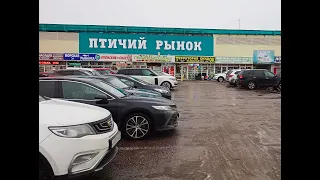 Птичий рынок Садовод