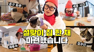 예능꾼 천재냥 cat 바위😼 김숙도 빠진 미친 예능 스킬 발동!!