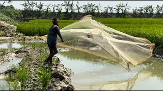 Watch the amazing fishing in the village