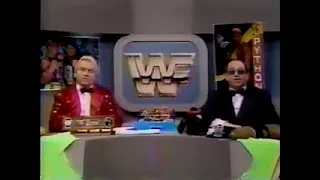 WWF Primetime Wrestling   January 7, 1991