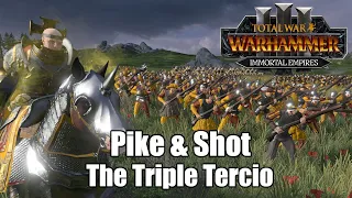 Total Tactics - Gunpowder Formations: The Triple Tercio | Total War: Warhammer 3