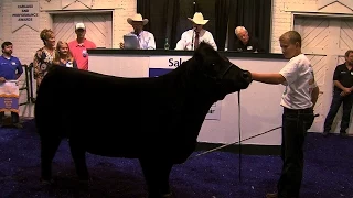 4H and FFA Sale of Champions | Iowa State Fair 2015