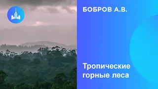 Бобров А.В. Тропические горные леса