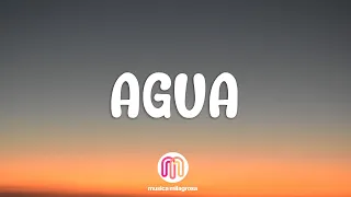 Tainy, J Balvin - Agua (Letra/Lyrics)