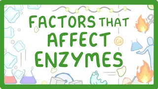 GCSE Biology - Enzymes - How Temperature and pH Affect Rate of Reaction