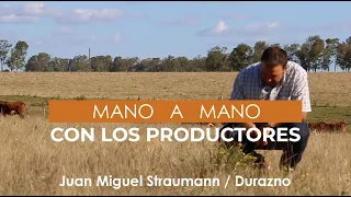 Claves para los buenos resultados en el predio "Las Acacias" de Juan Miguel Straumann (Durazno)