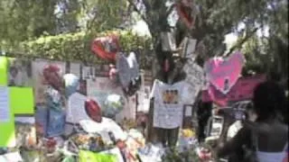 Fans Hold Vigil at Michael Jackson's INCINO HOME