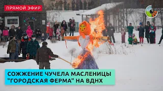 Сожжение чучела Масленицы на "Городской ферме" на ВДНХ