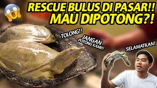 RESCUE BULUS DIPASAR! | NEMU BULUS/LABI-LABI MAU DIPOTONG? MARI KITA SELAMATKAN!!