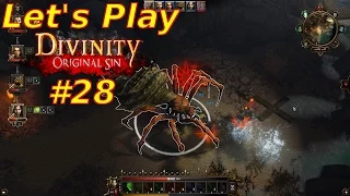 Divinity Original Sin - Let's Play #28 || 1080p || pfui Spinne