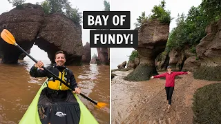 Experiencing the HIGHEST tides in the WORLD at the Bay of Fundy (Hopewell Rocks)