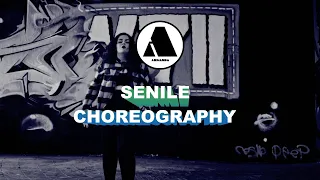Young Money, Tyga, Nicki Minaj, Lil Wayne - Senile | Choreo by Armanda