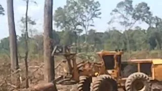 logging machines