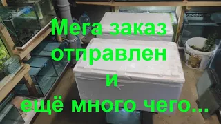 Мега заказ отправлен и ещё много чего...