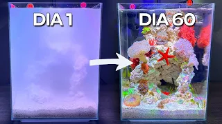 Construindo um Pedaço do Oceano, Montagem de um Nano Reef Tank