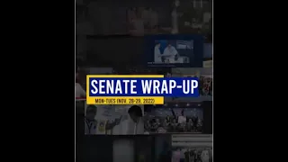 Senate Wrap-up (November 28-29, 2022)