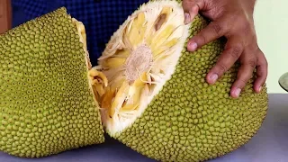 How to Cut Jackfruit - Fresh Jackfruit Cutting and Eating - OPENING JACKFRUIT