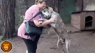 Tiere, die nach Jahren wieder mit ihren Besitzern vereint sind