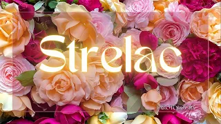 STRELAC🌟Važna prekretnica pred vama! Tarot 19.05 - 25.05