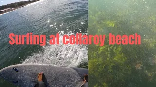 Surfing at collaroy beach