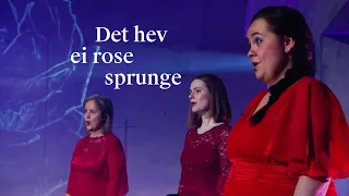 Det hev ei rose sprunge / The Norwegian Soloists' Choir and Grete Pedersen