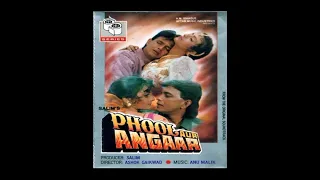 Mujhko pina hai peene do_movie_Phool aur angaar_1993_jhankar beats_9758517744