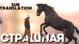 The most unyielding mare in the world. The most dangerous and scary mare. subtitles with translation