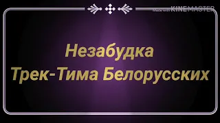 Тима Белорусских-Незабудка текст песни