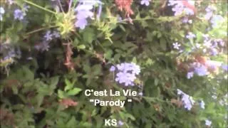 C'est La Vie " Parody "