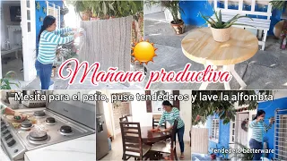 Mañana productiva☀️✅||Puse tendederos nuevos||Lave la alfombra||Mesita para el patio🪴