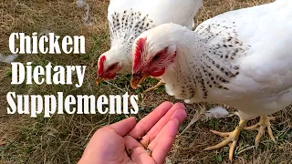 3 Supplements That Every Chickens Needs | Health & Organic