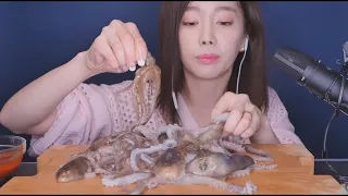 Youtuber Tortures and Eats Animals Alive