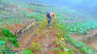 365 Days Living Off Grid - Expand the garden, grow more vegetables, deal with harsh nature