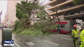 Downed trees keep San Francisco Public Works busy as they prepare for another round of storms