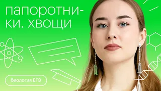 Папоротники. Хвощи | Биология с Альбиной Амировой