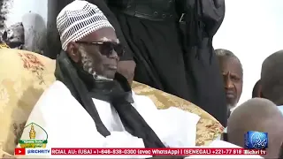 Thiey 😭😭 ! Ajjumay Touba : Kàdduy Cheikh Mouhamadou Mountakha Mbacke Bachir sur la journée ...