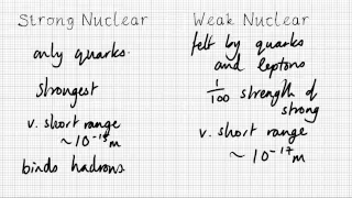 Fundamental Forces - A Level Physics Revision