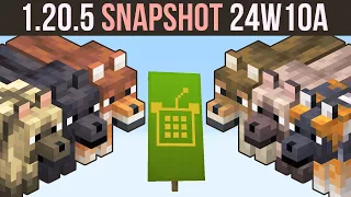 Minecraft 1.20.5 Snapshot 24W10A | 8 New Wolves & Custom Banners!