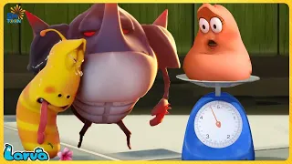 LARVA FULL EPISODE NEW MOVIES: PROTECTION | THE BEST OF CARTOON | HILARIOUS CARTOON COMPILATION