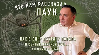 ЧТО НАМ РАССКАЗАЛ ПАУК. Как в одну паутину попали и СВЯТЫЕ ИНКВИЗИТОРЫ, и МИКЛУХО МАКЛАЙ